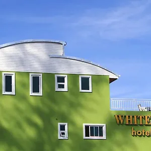 Hotel White Cat