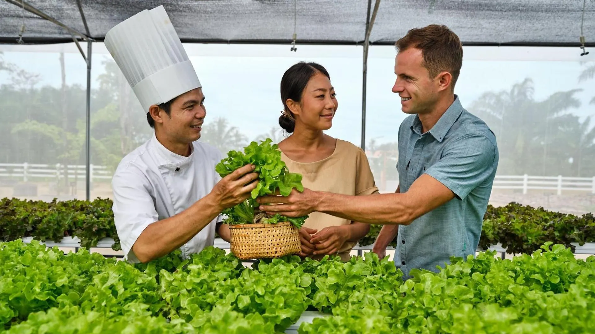 Jw Marriott Khao Lak Resort Suites Hotel